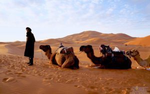 Merzouga, Camel Trek, Morocco, tour of Morocco