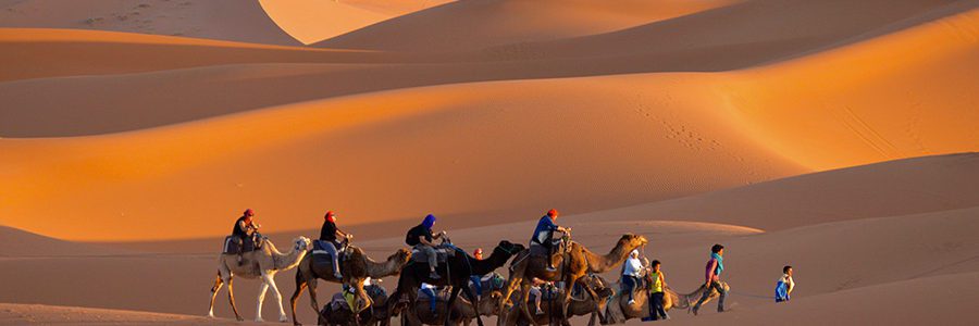 Camel Trek, Merzouga, Morocco