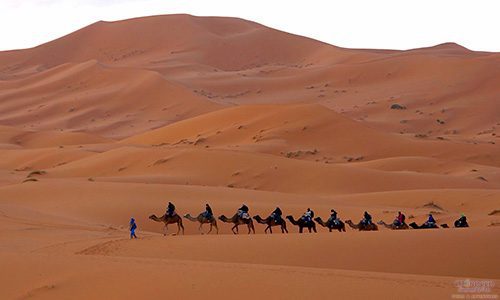 Erg Chebbi, Morocco, Camel Trek